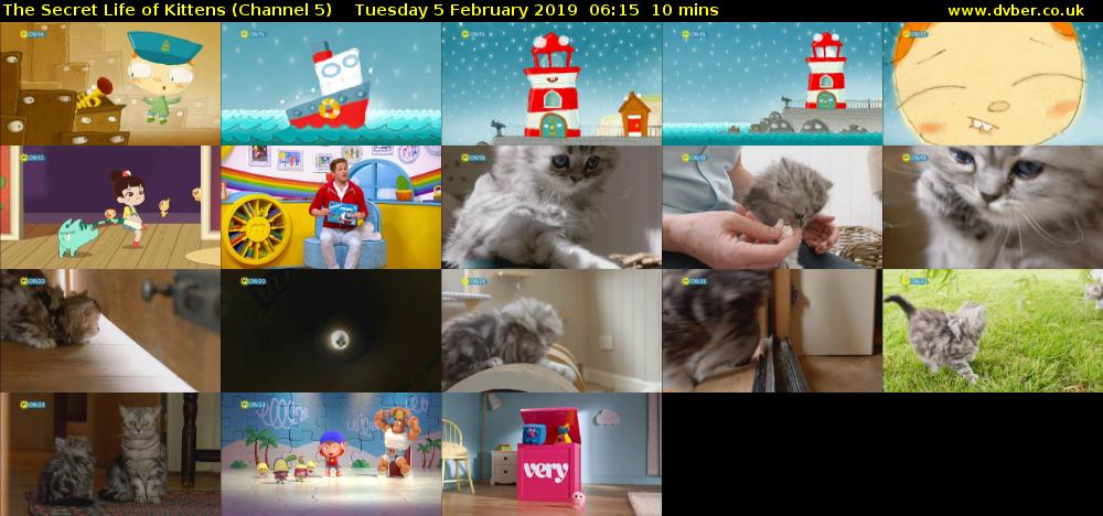 The Secret Life of Kittens (Channel 5) Tuesday 5 February 2019 06:15 - 06:25