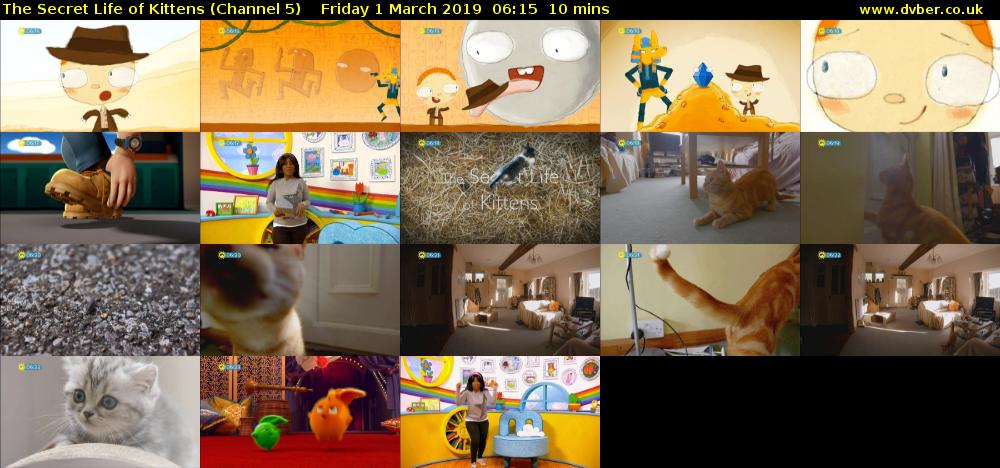 The Secret Life of Kittens (Channel 5) Friday 1 March 2019 06:15 - 06:25