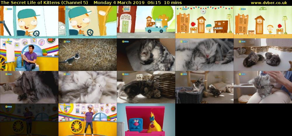 The Secret Life of Kittens (Channel 5) Monday 4 March 2019 06:15 - 06:25