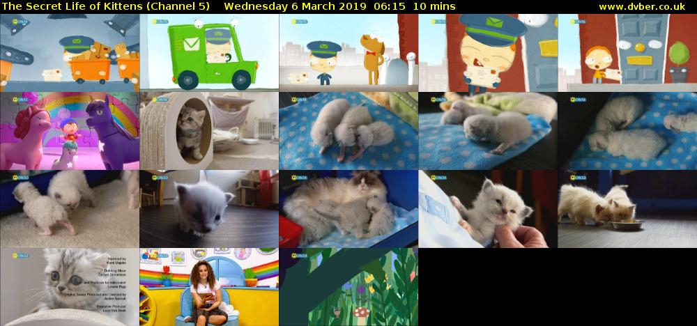 The Secret Life of Kittens (Channel 5) Wednesday 6 March 2019 06:15 - 06:25