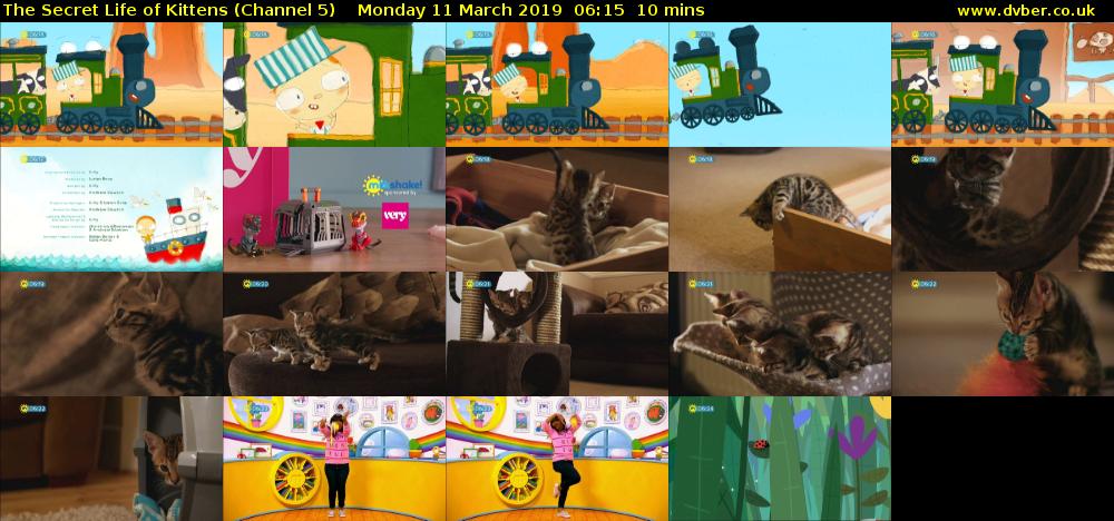 The Secret Life of Kittens (Channel 5) Monday 11 March 2019 06:15 - 06:25