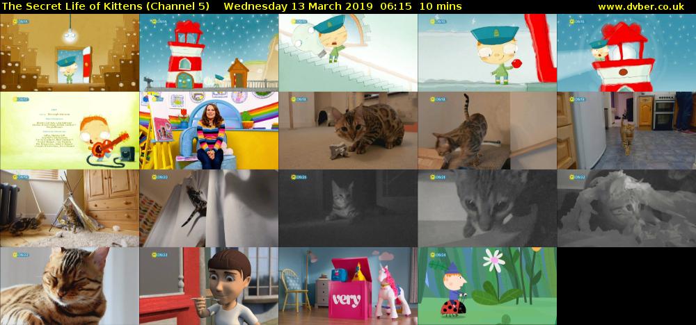 The Secret Life of Kittens (Channel 5) Wednesday 13 March 2019 06:15 - 06:25