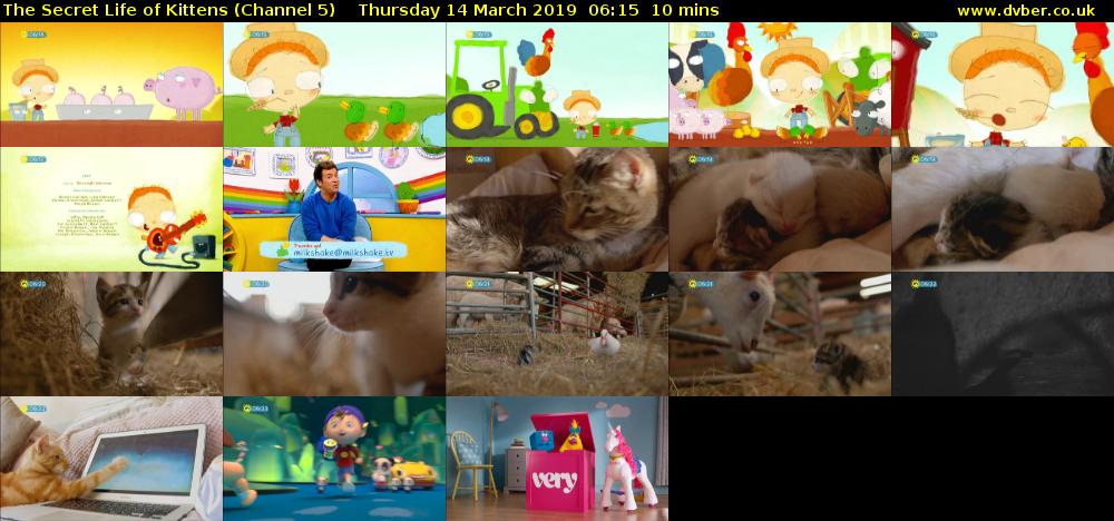 The Secret Life of Kittens (Channel 5) Thursday 14 March 2019 06:15 - 06:25