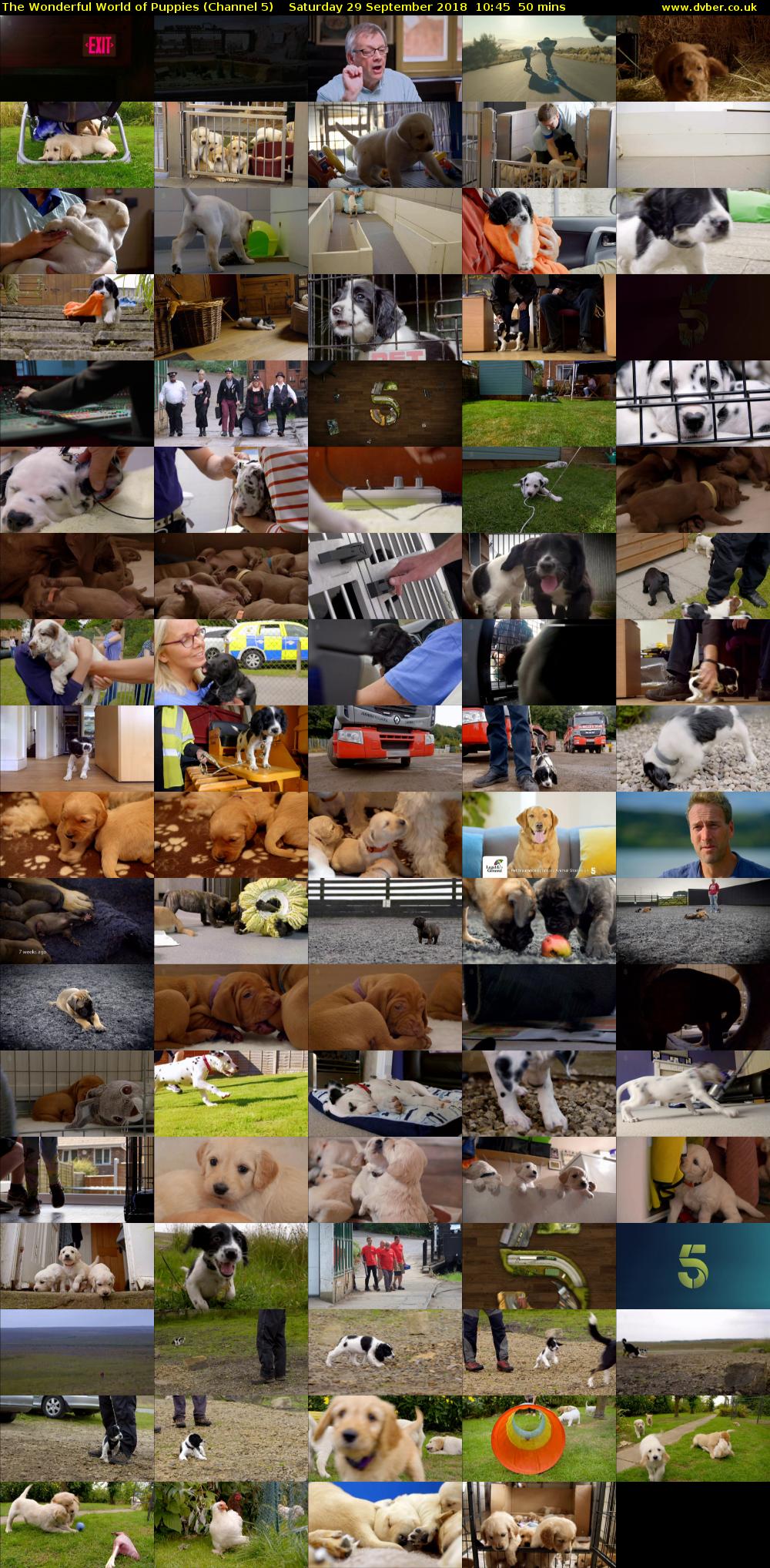 The Wonderful World of Puppies (Channel 5) Saturday 29 September 2018 10:45 - 11:35
