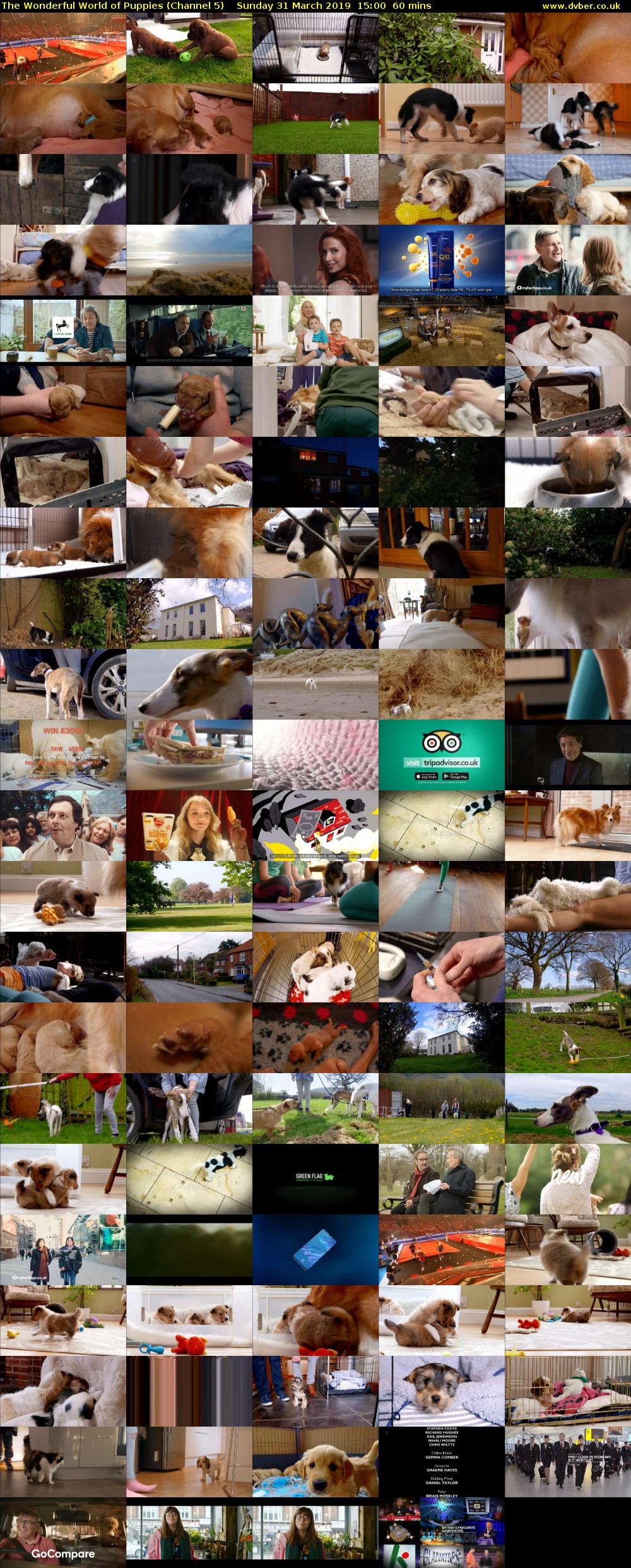 The Wonderful World of Puppies (Channel 5) Sunday 31 March 2019 15:00 - 16:00