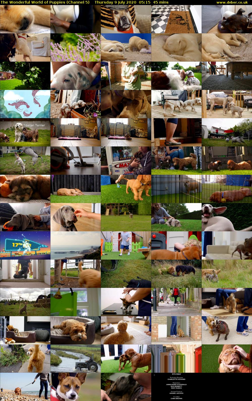The Wonderful World of Puppies (Channel 5) Thursday 9 July 2020 05:15 - 06:00