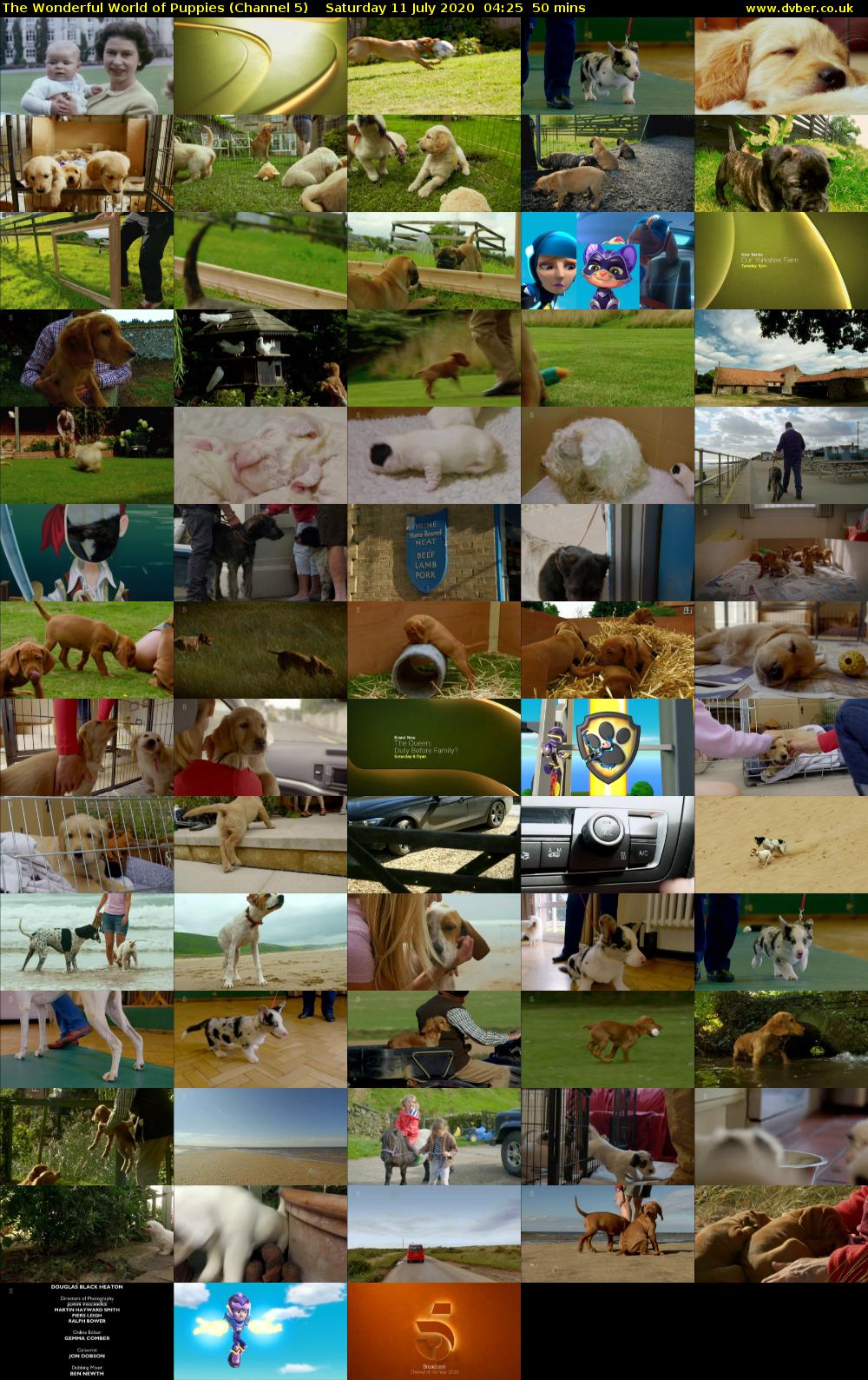 The Wonderful World of Puppies (Channel 5) Saturday 11 July 2020 04:25 - 05:15