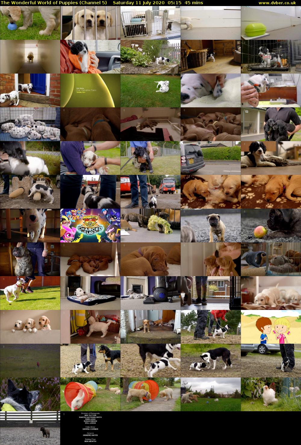 The Wonderful World of Puppies (Channel 5) Saturday 11 July 2020 05:15 - 06:00