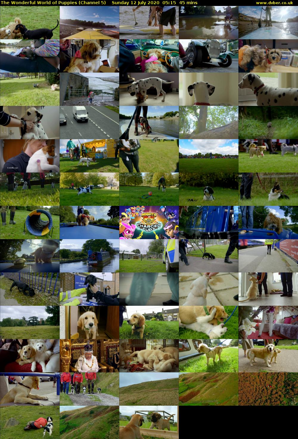 The Wonderful World of Puppies (Channel 5) Sunday 12 July 2020 05:15 - 06:00