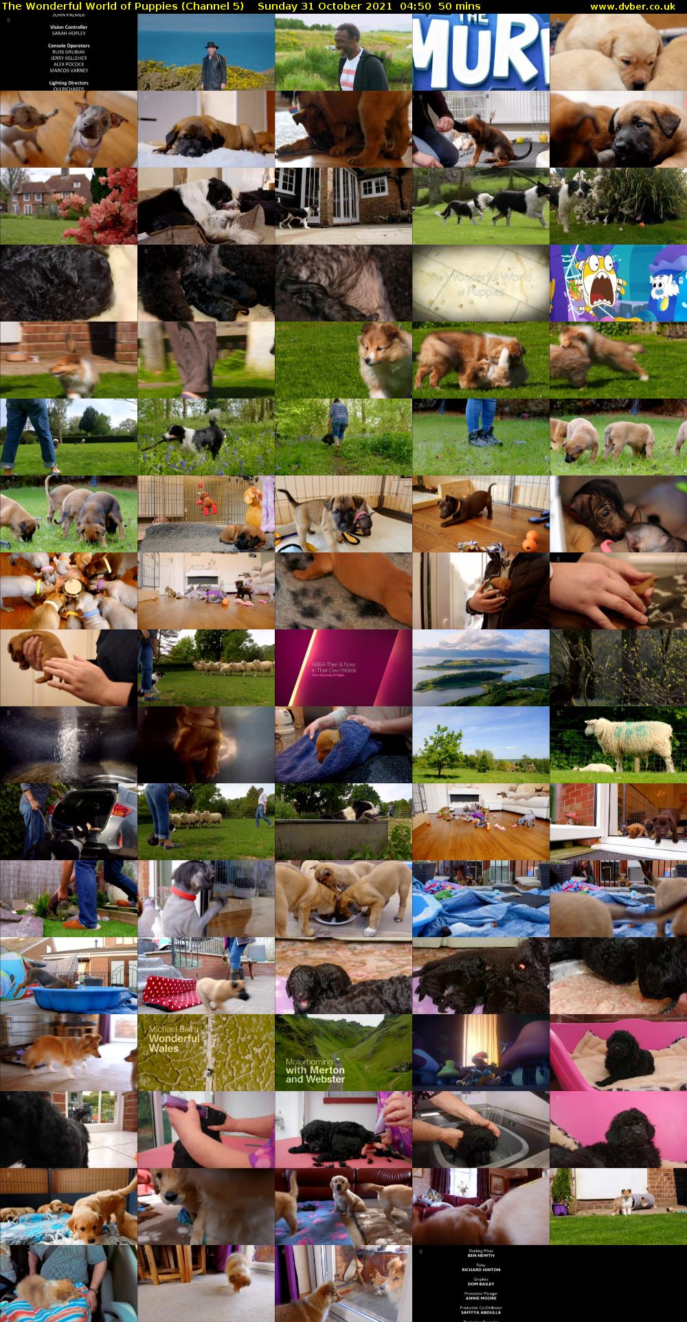 The Wonderful World of Puppies (Channel 5) Sunday 31 October 2021 04:50 - 05:40