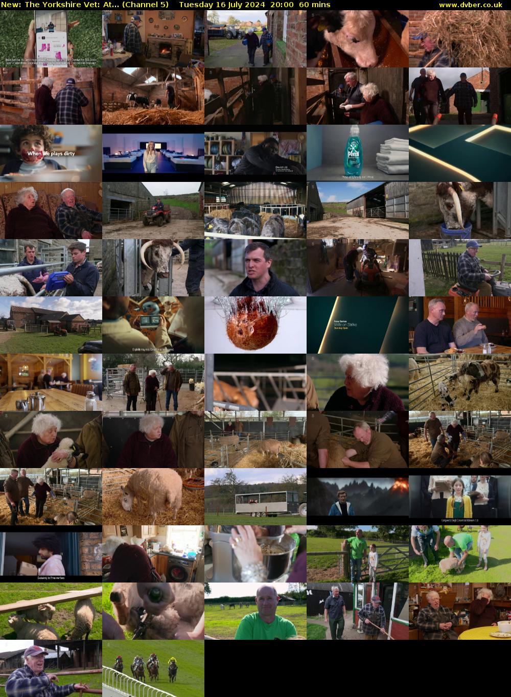 The Yorkshire Vet: At... (Channel 5) Tuesday 16 July 2024 20:00 - 21:00