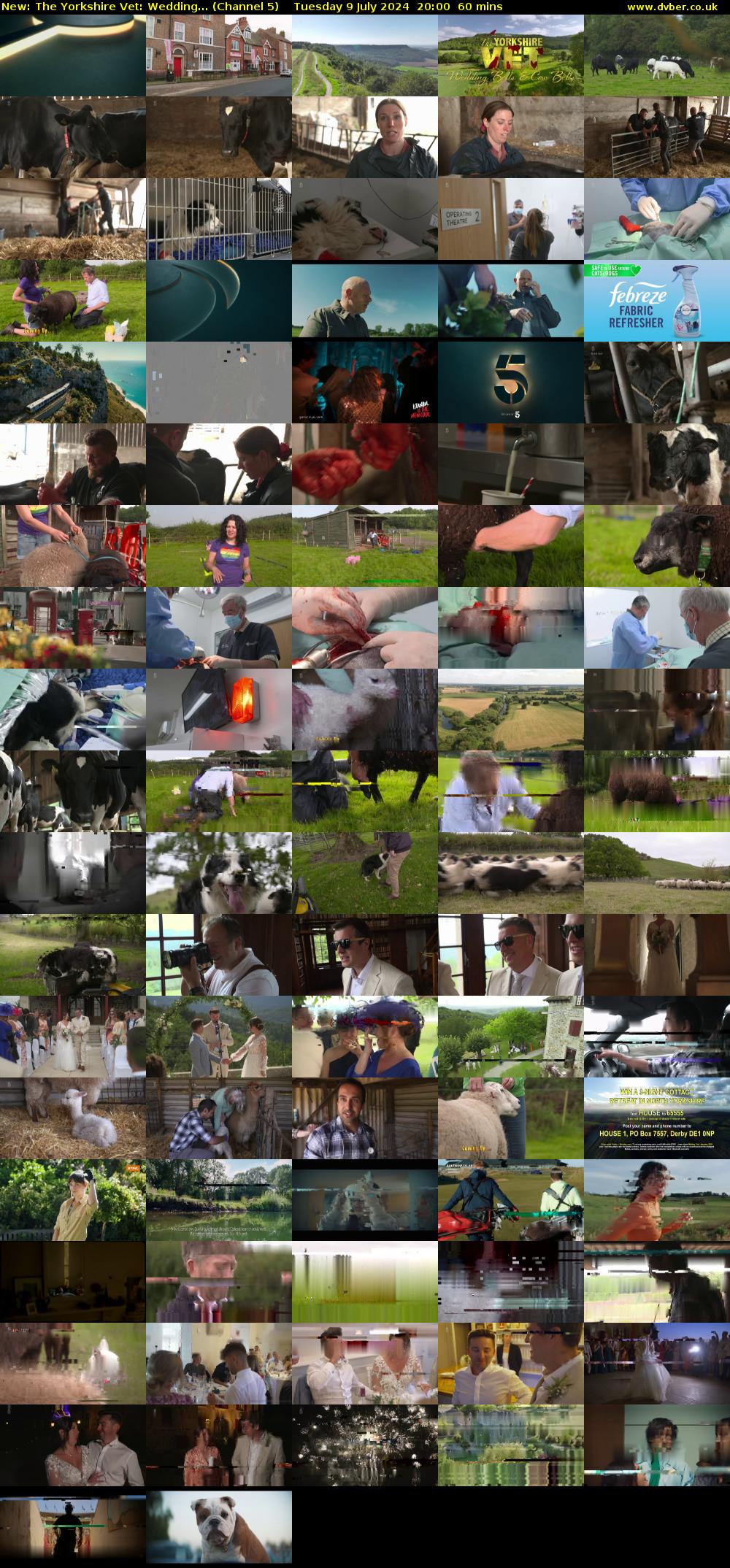 The Yorkshire Vet: Wedding... (Channel 5) Tuesday 9 July 2024 20:00 - 21:00