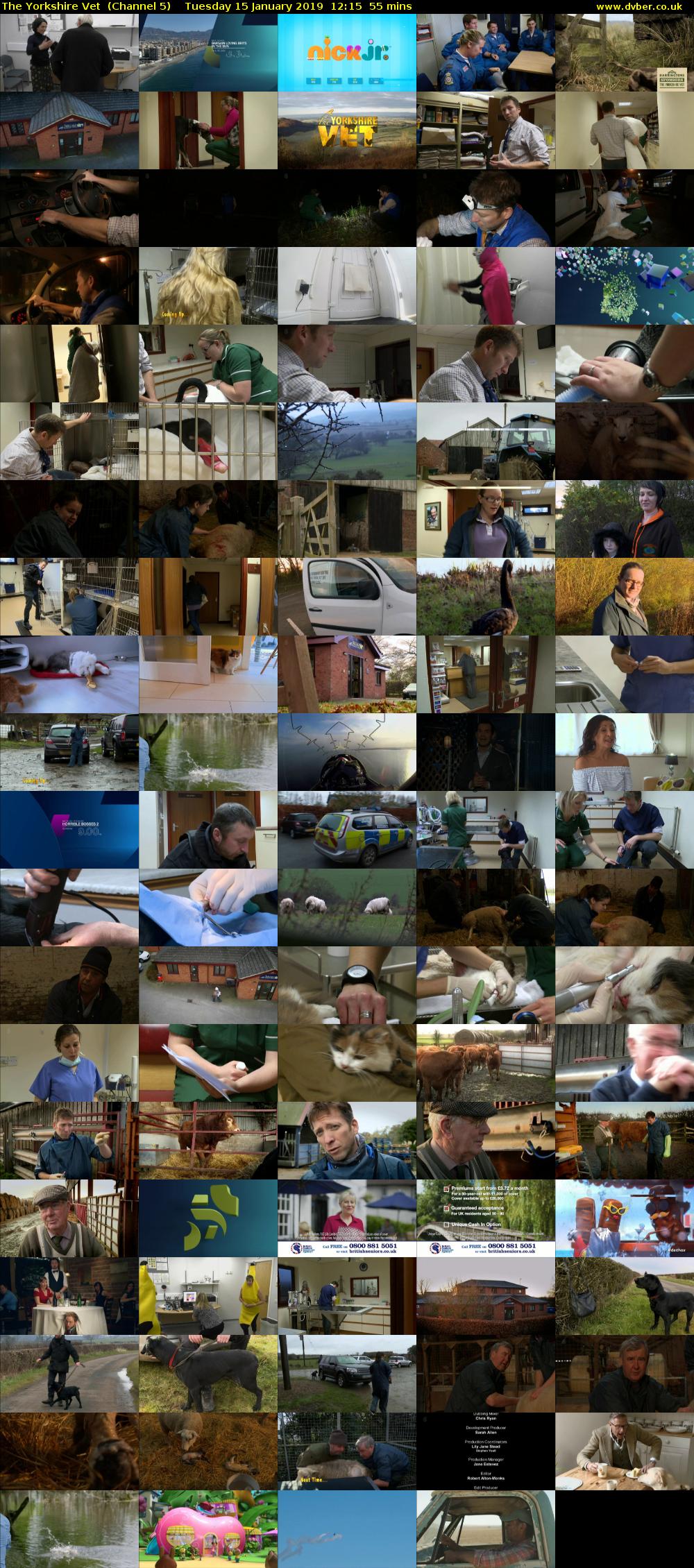 The Yorkshire Vet  (Channel 5) Tuesday 15 January 2019 12:15 - 13:10