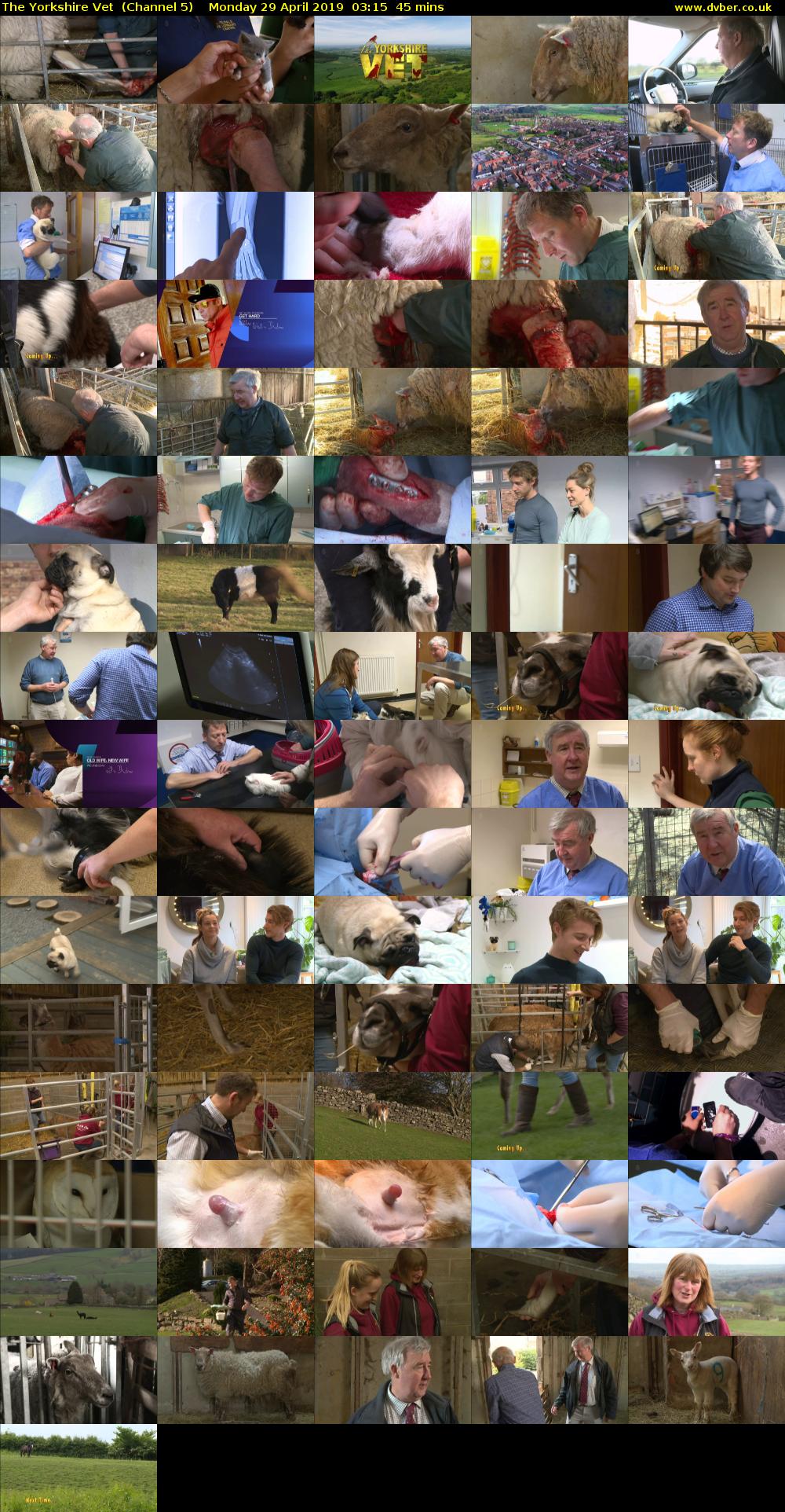 The Yorkshire Vet  (Channel 5) Monday 29 April 2019 03:15 - 04:00