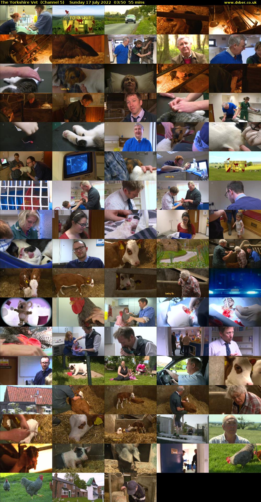 The Yorkshire Vet  (Channel 5) Sunday 17 July 2022 03:50 - 04:45