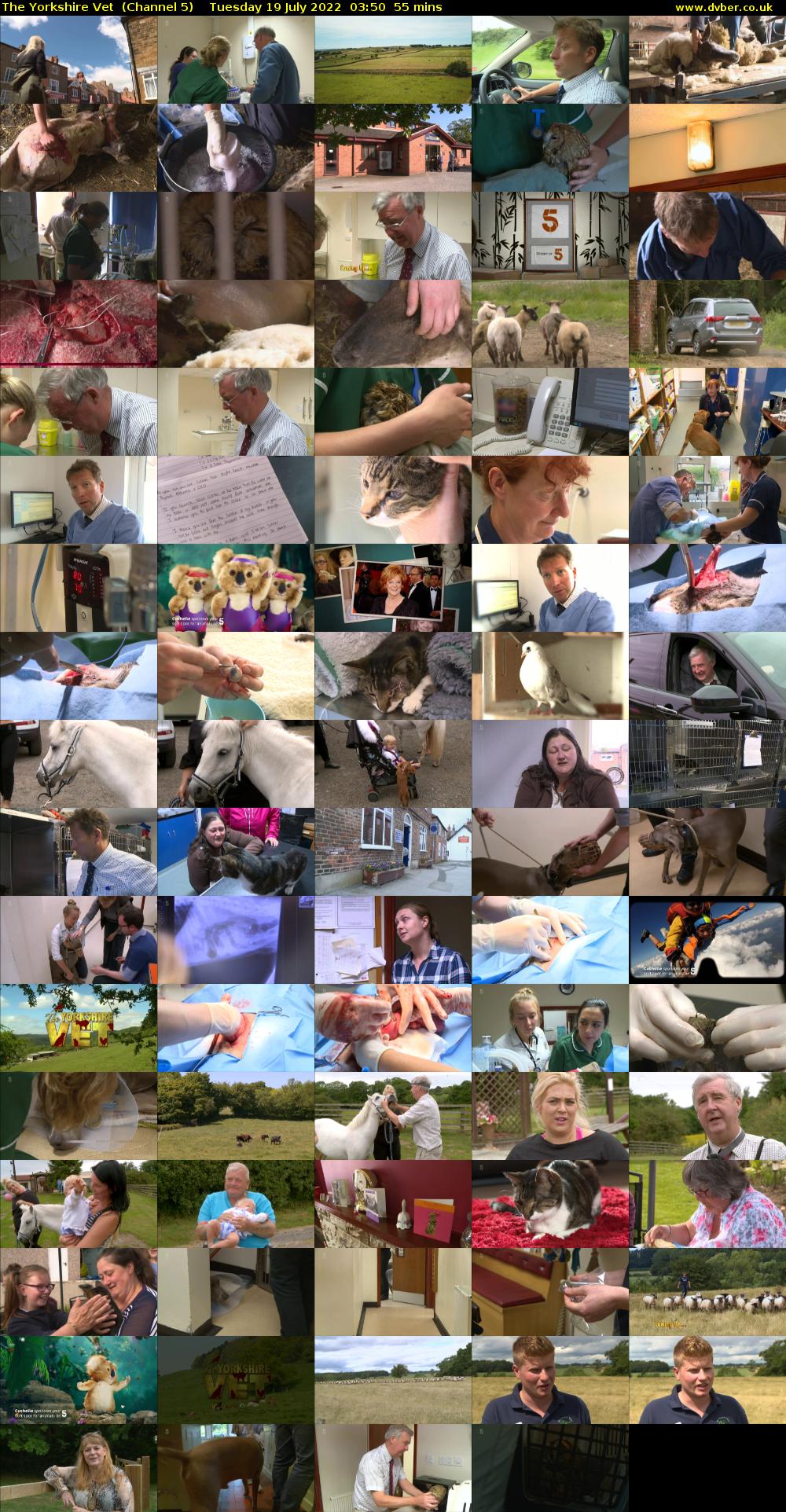 The Yorkshire Vet  (Channel 5) Tuesday 19 July 2022 03:50 - 04:45