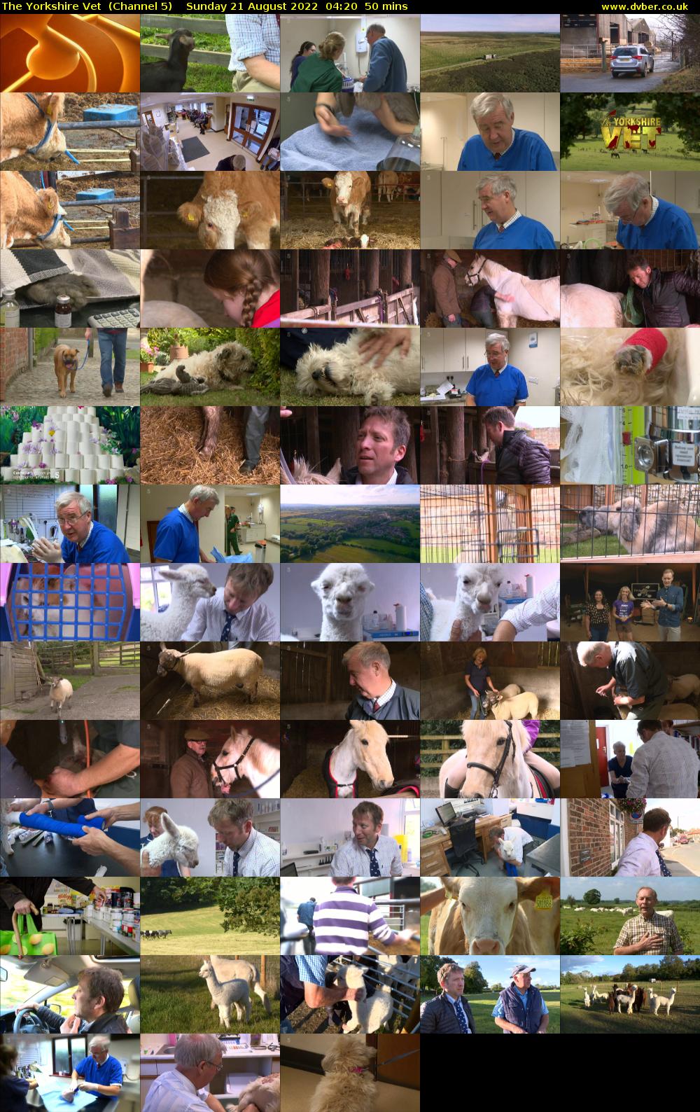 The Yorkshire Vet  (Channel 5) Sunday 21 August 2022 04:20 - 05:10