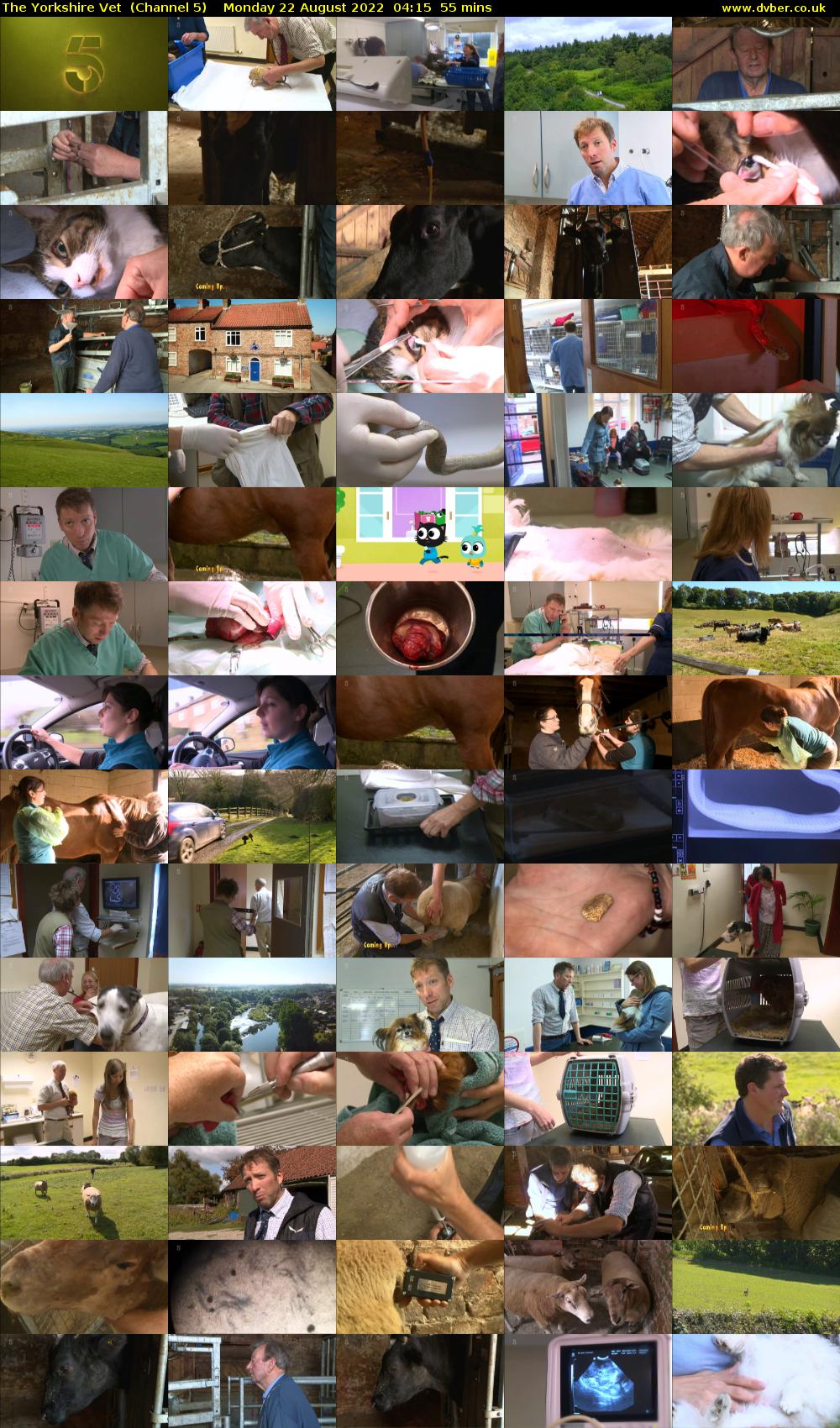 The Yorkshire Vet  (Channel 5) Monday 22 August 2022 04:15 - 05:10