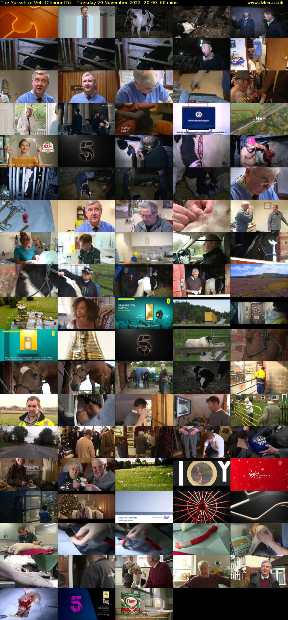 The Yorkshire Vet  (Channel 5) Tuesday 29 November 2022 20:00 - 21:00