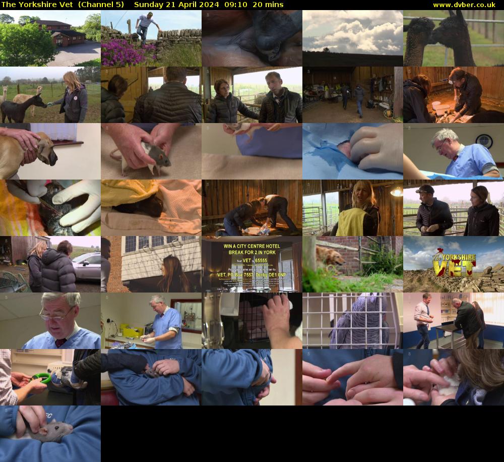 The Yorkshire Vet  (Channel 5) Sunday 21 April 2024 09:10 - 09:30