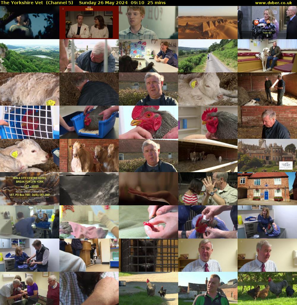 The Yorkshire Vet  (Channel 5) Sunday 26 May 2024 09:10 - 09:35