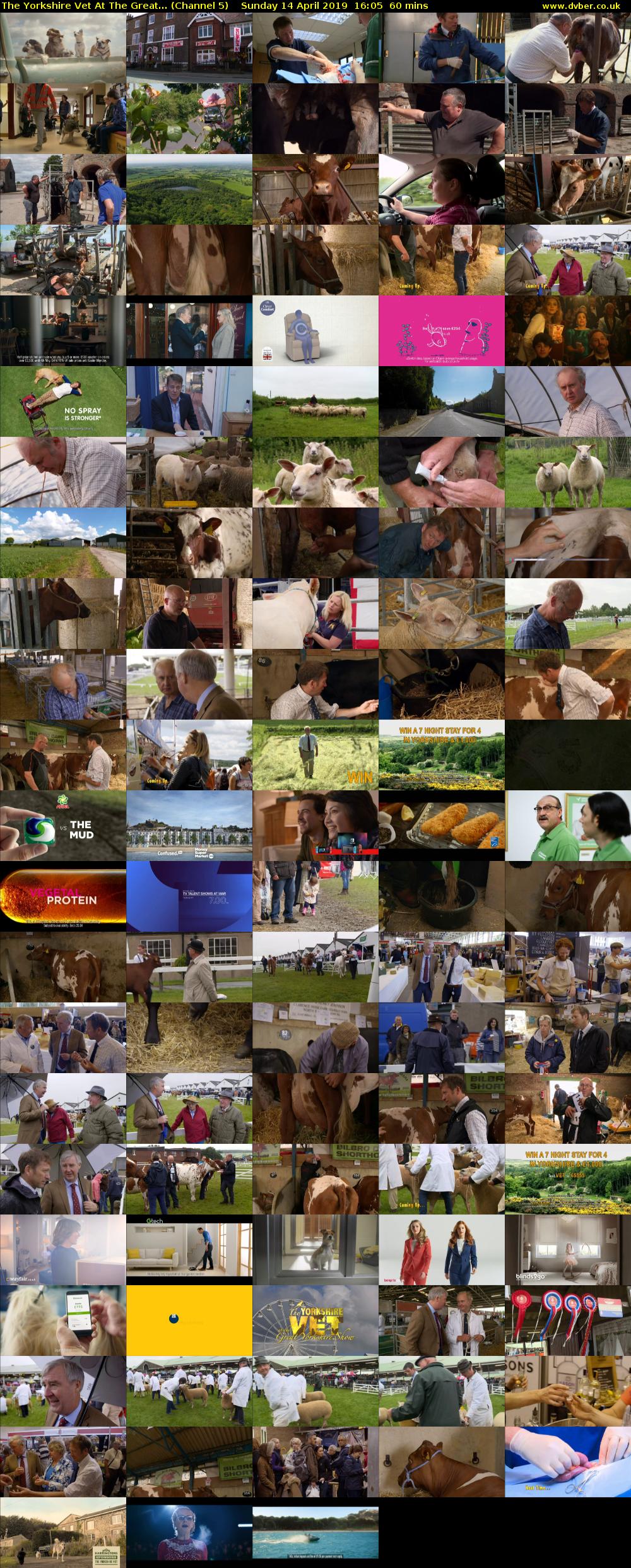 The Yorkshire Vet At The Great... (Channel 5) Sunday 14 April 2019 16:05 - 17:05