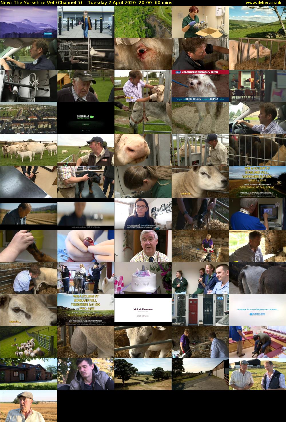 The Yorkshire Vet (Channel 5) Tuesday 7 April 2020 20:00 - 21:00