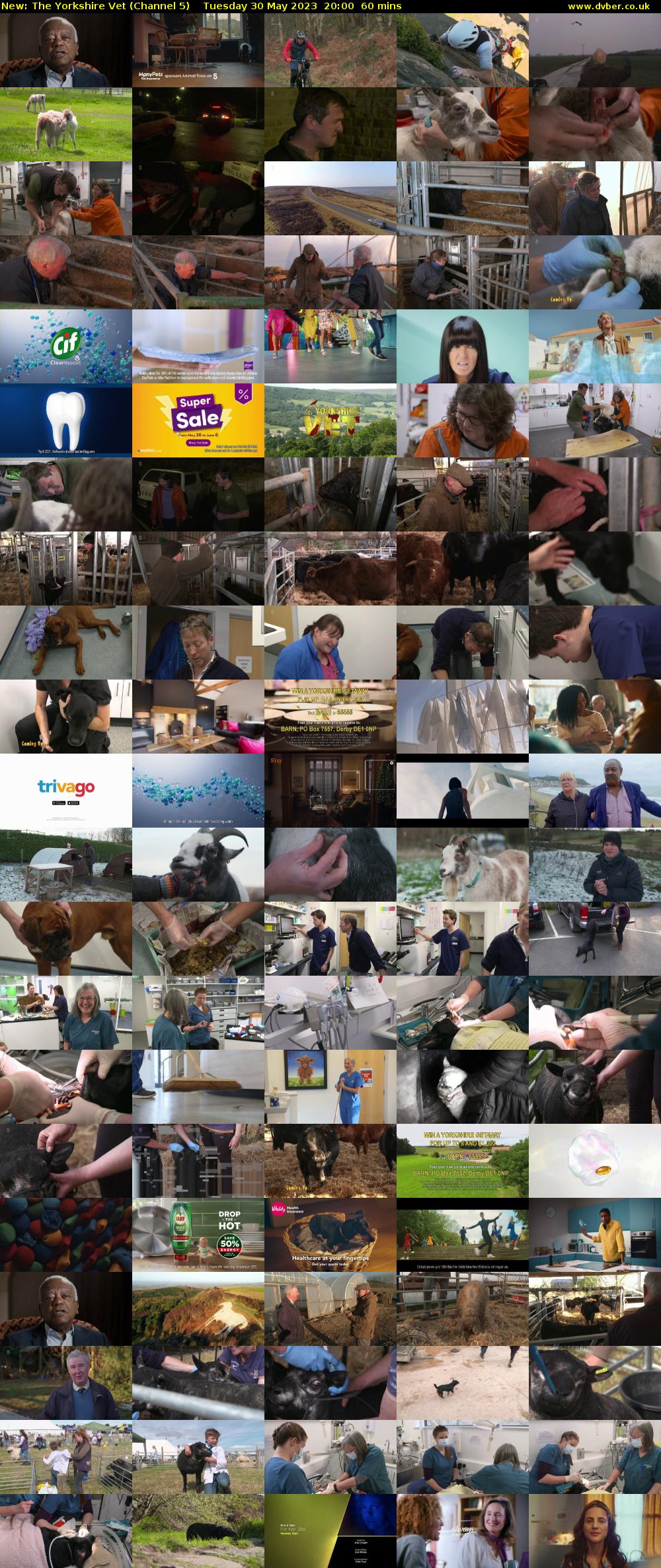 The Yorkshire Vet (Channel 5) Tuesday 30 May 2023 20:00 - 21:00
