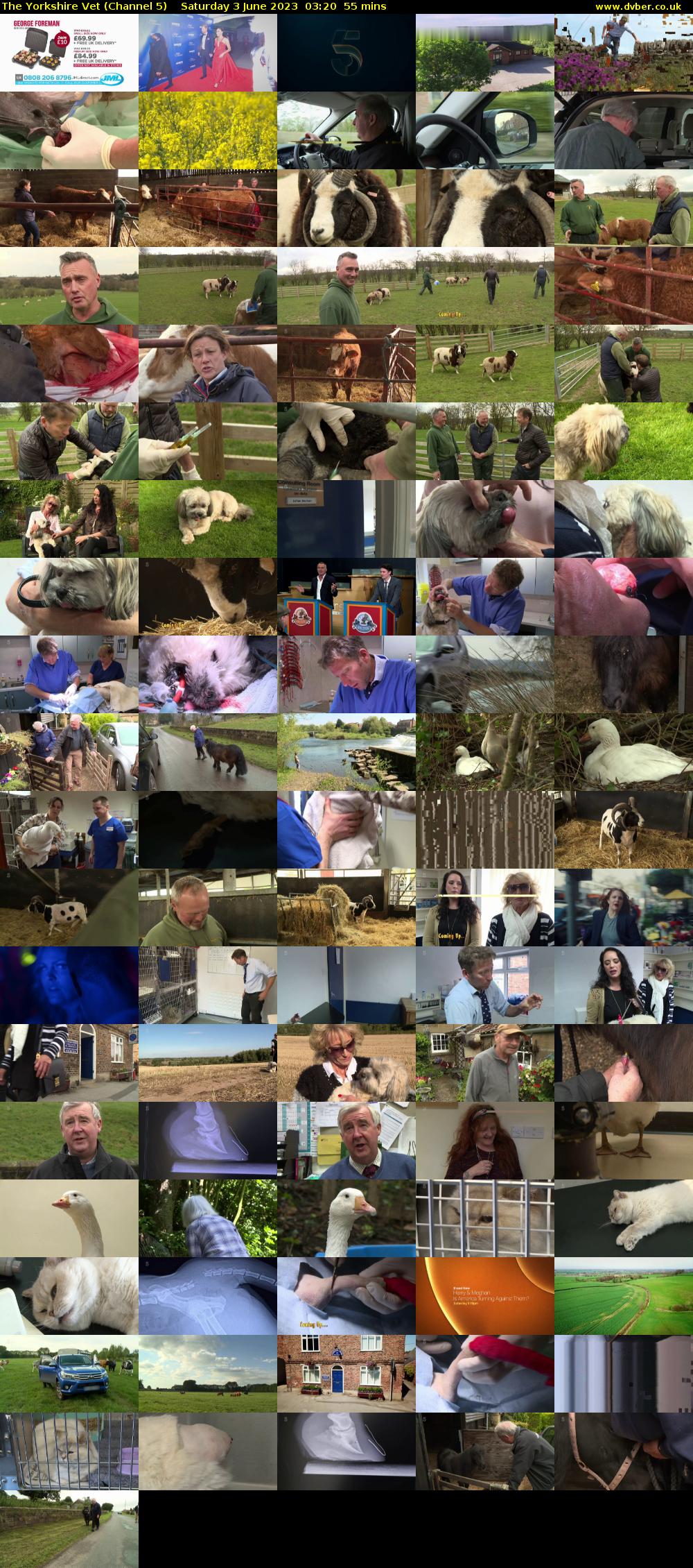 The Yorkshire Vet (Channel 5) Saturday 3 June 2023 03:20 - 04:15