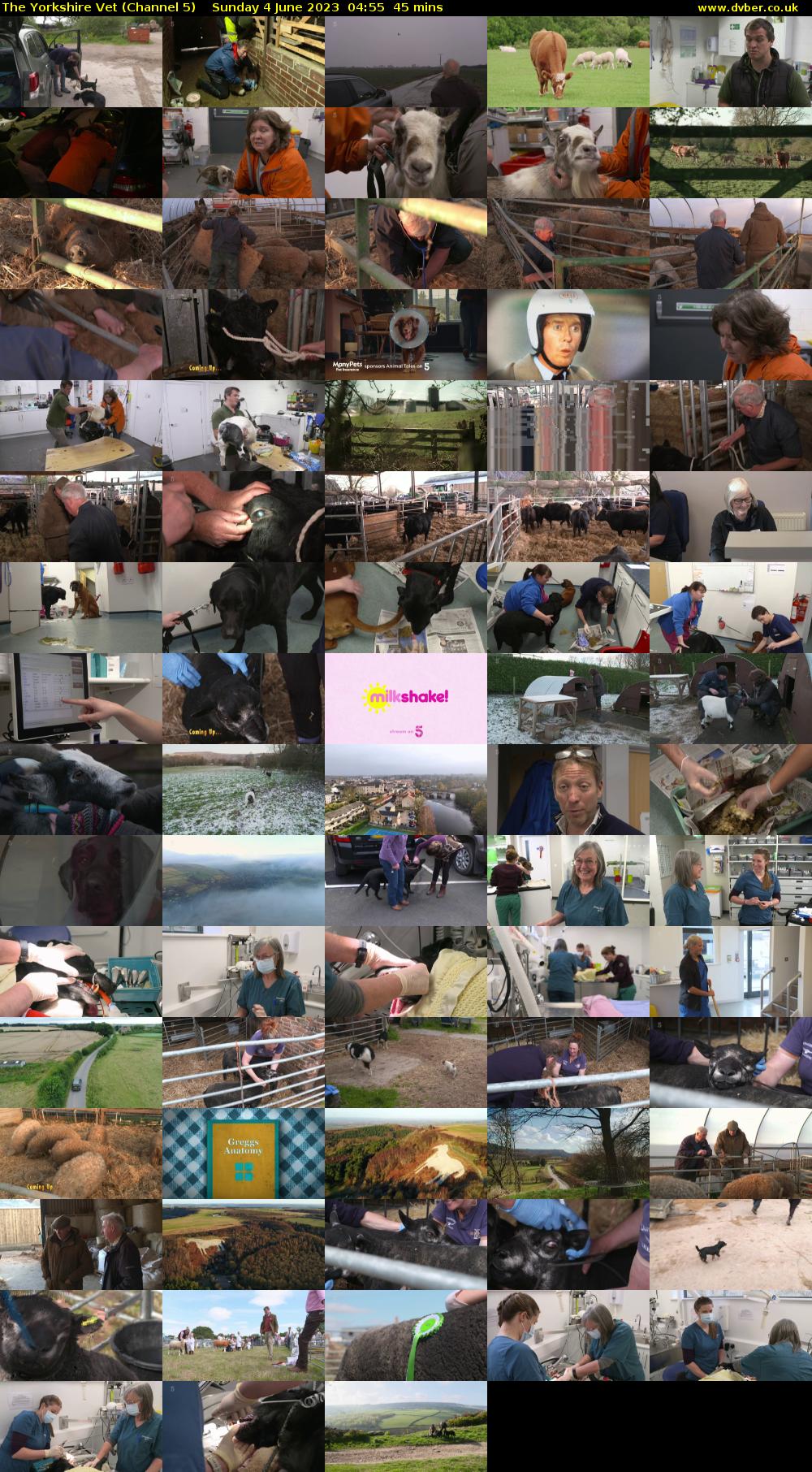 The Yorkshire Vet (Channel 5) Sunday 4 June 2023 04:55 - 05:40