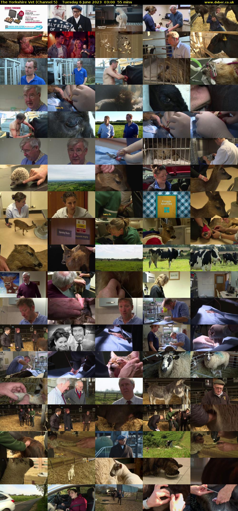 The Yorkshire Vet (Channel 5) Tuesday 6 June 2023 03:00 - 03:55