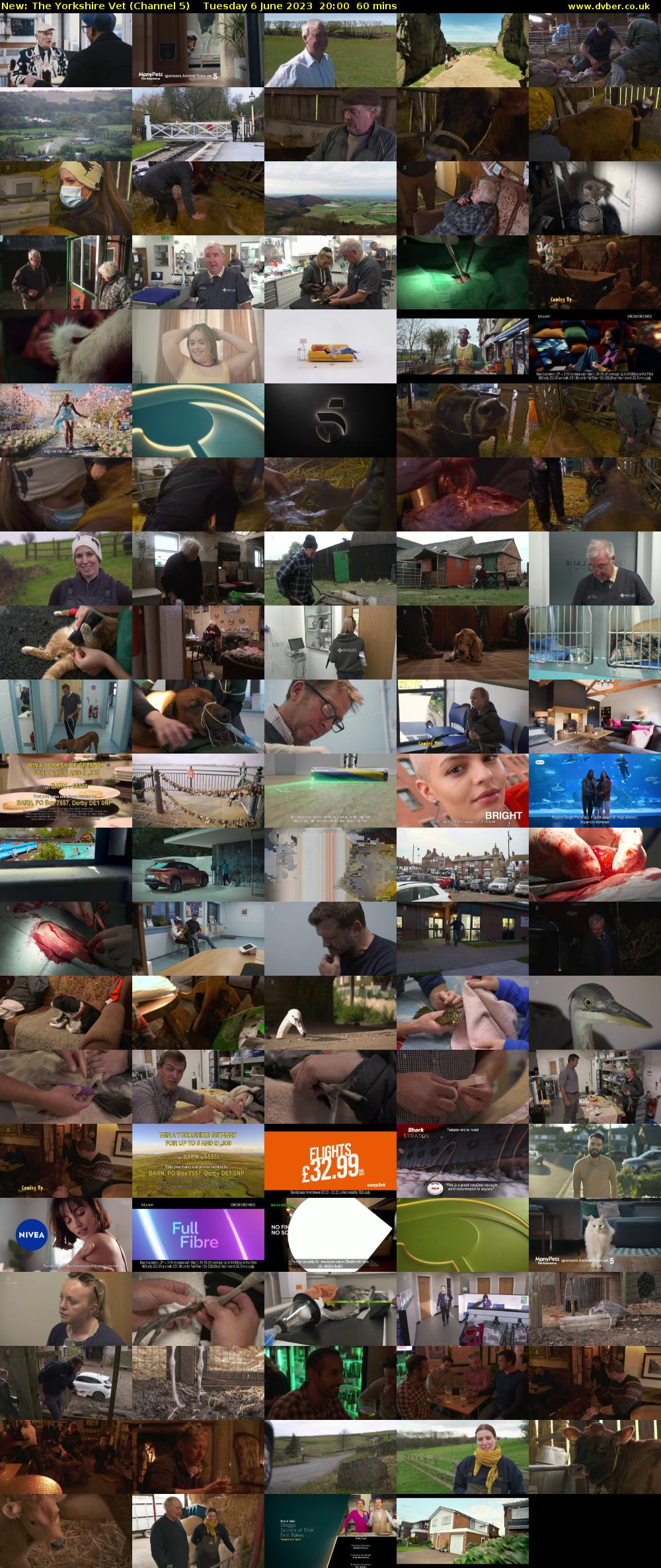 The Yorkshire Vet (Channel 5) Tuesday 6 June 2023 20:00 - 21:00