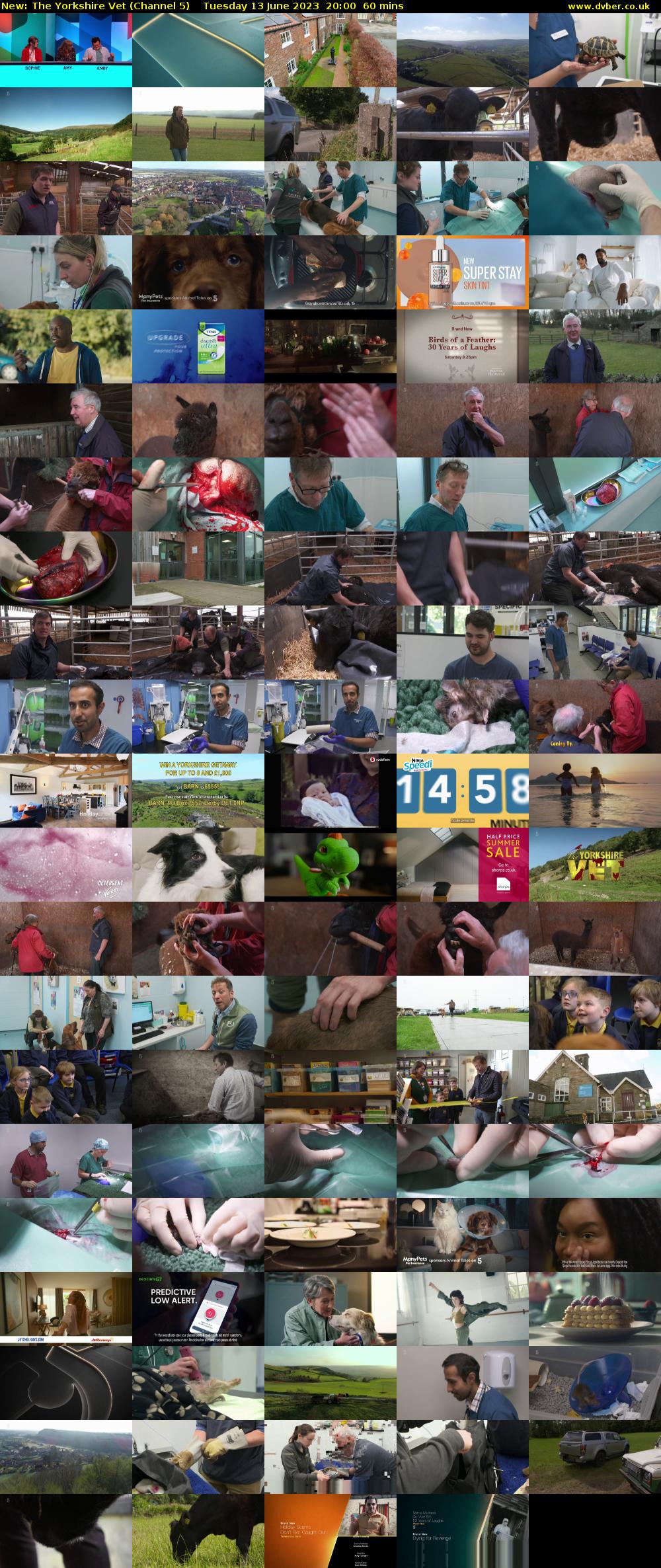 The Yorkshire Vet (Channel 5) Tuesday 13 June 2023 20:00 - 21:00
