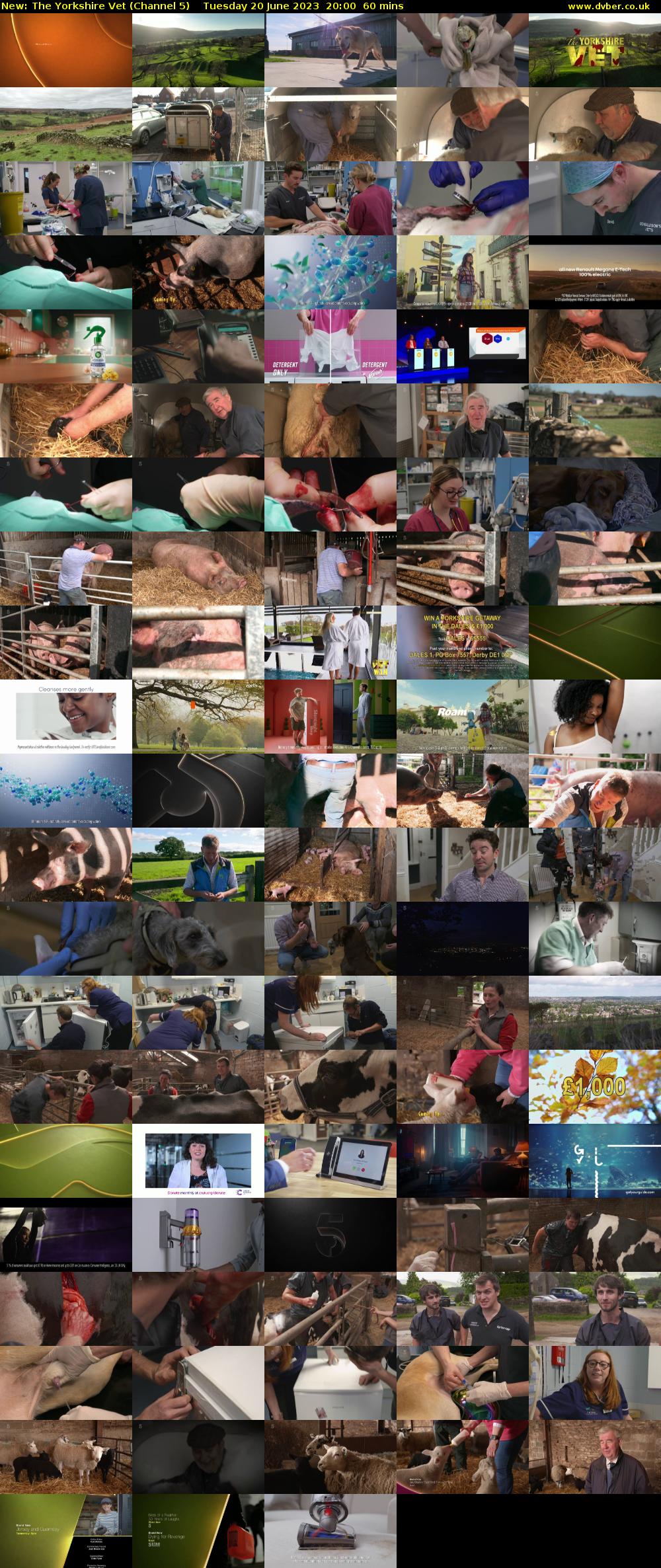 The Yorkshire Vet (Channel 5) Tuesday 20 June 2023 20:00 - 21:00