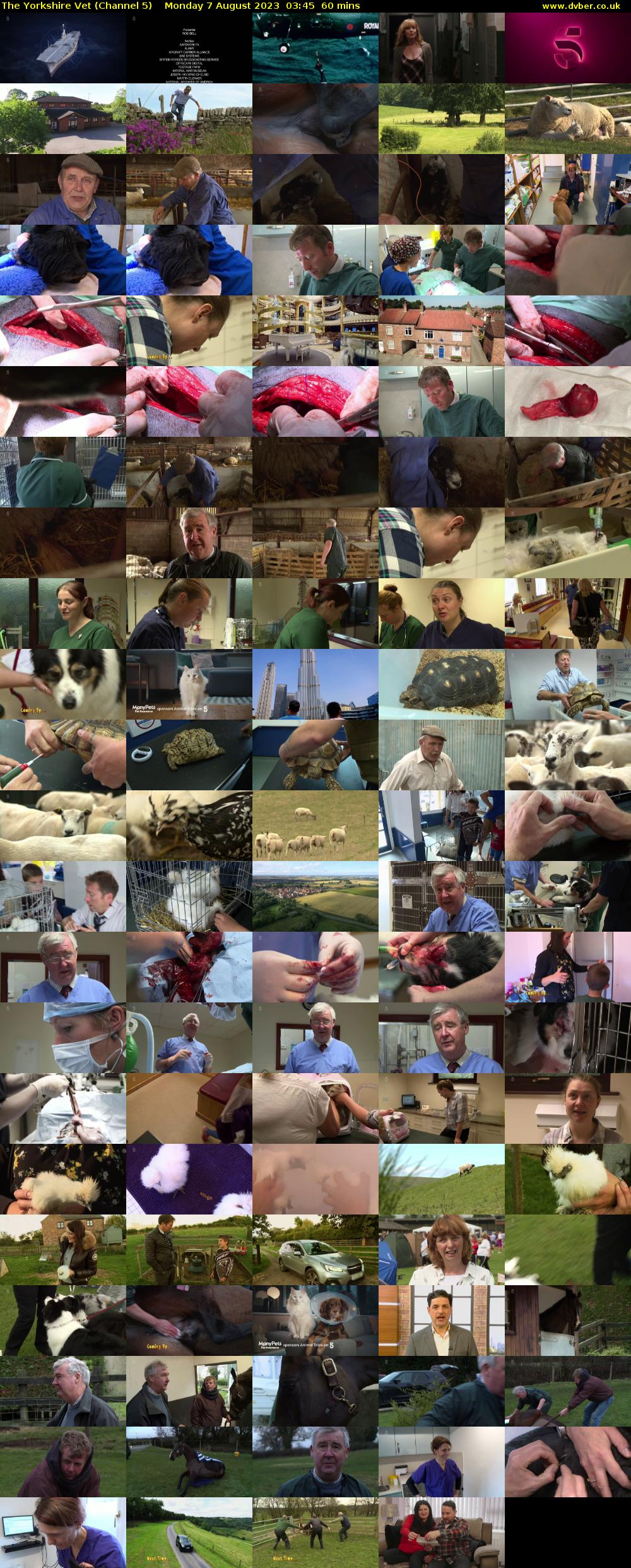 The Yorkshire Vet (Channel 5) Monday 7 August 2023 03:45 - 04:45