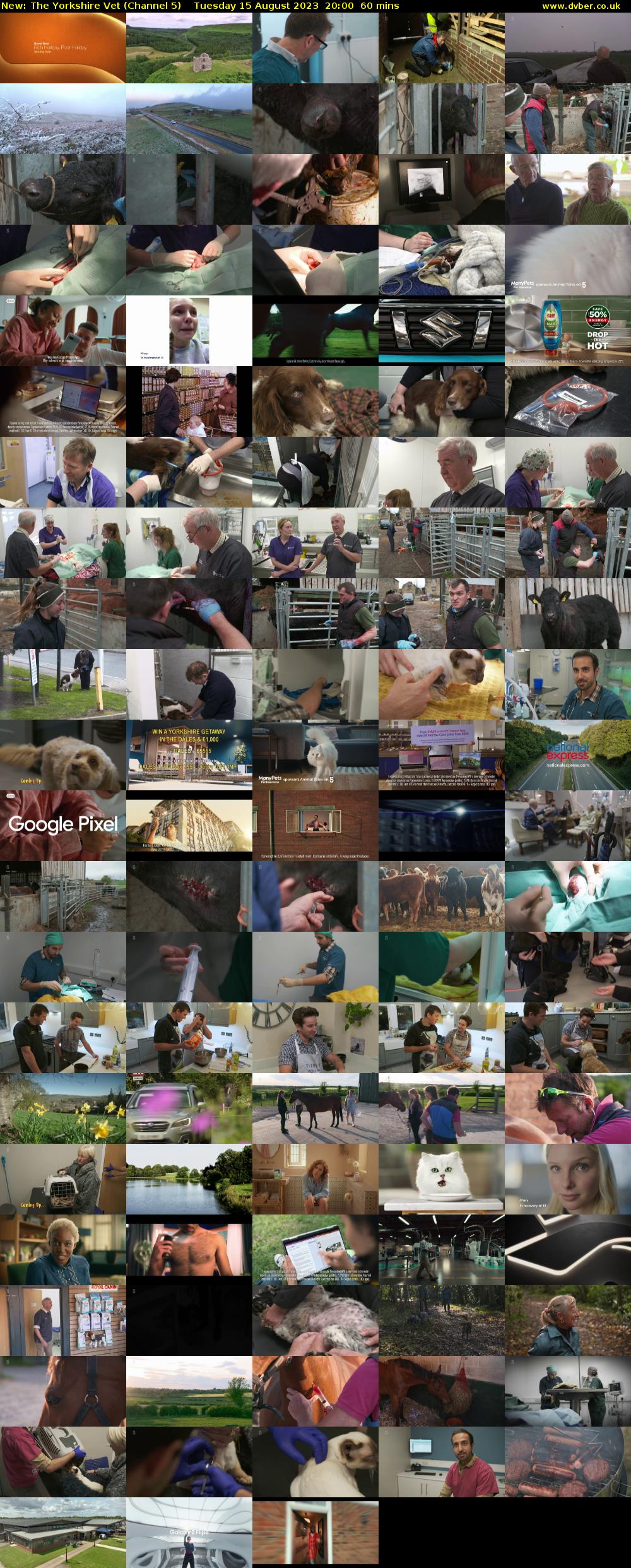 The Yorkshire Vet (Channel 5) Tuesday 15 August 2023 20:00 - 21:00