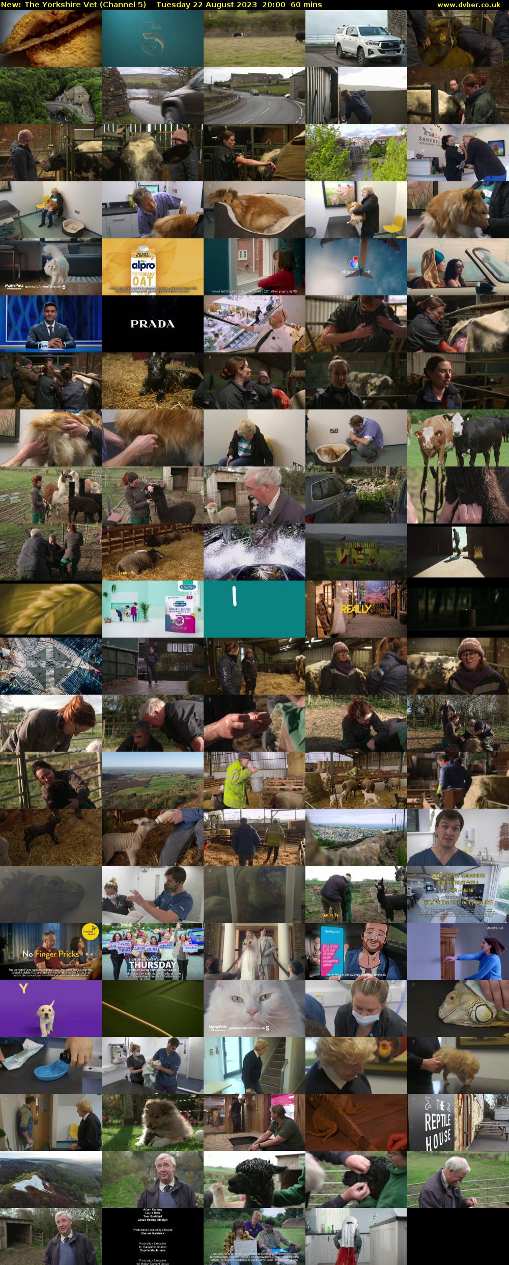 The Yorkshire Vet (Channel 5) Tuesday 22 August 2023 20:00 - 21:00
