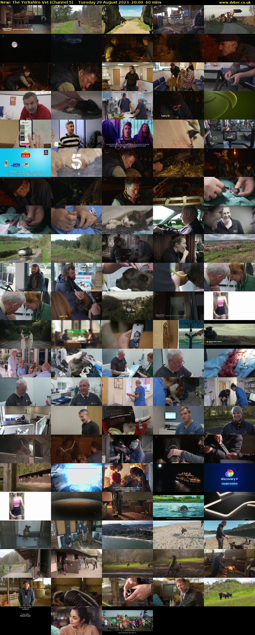 The Yorkshire Vet (Channel 5) Tuesday 29 August 2023 20:00 - 21:00