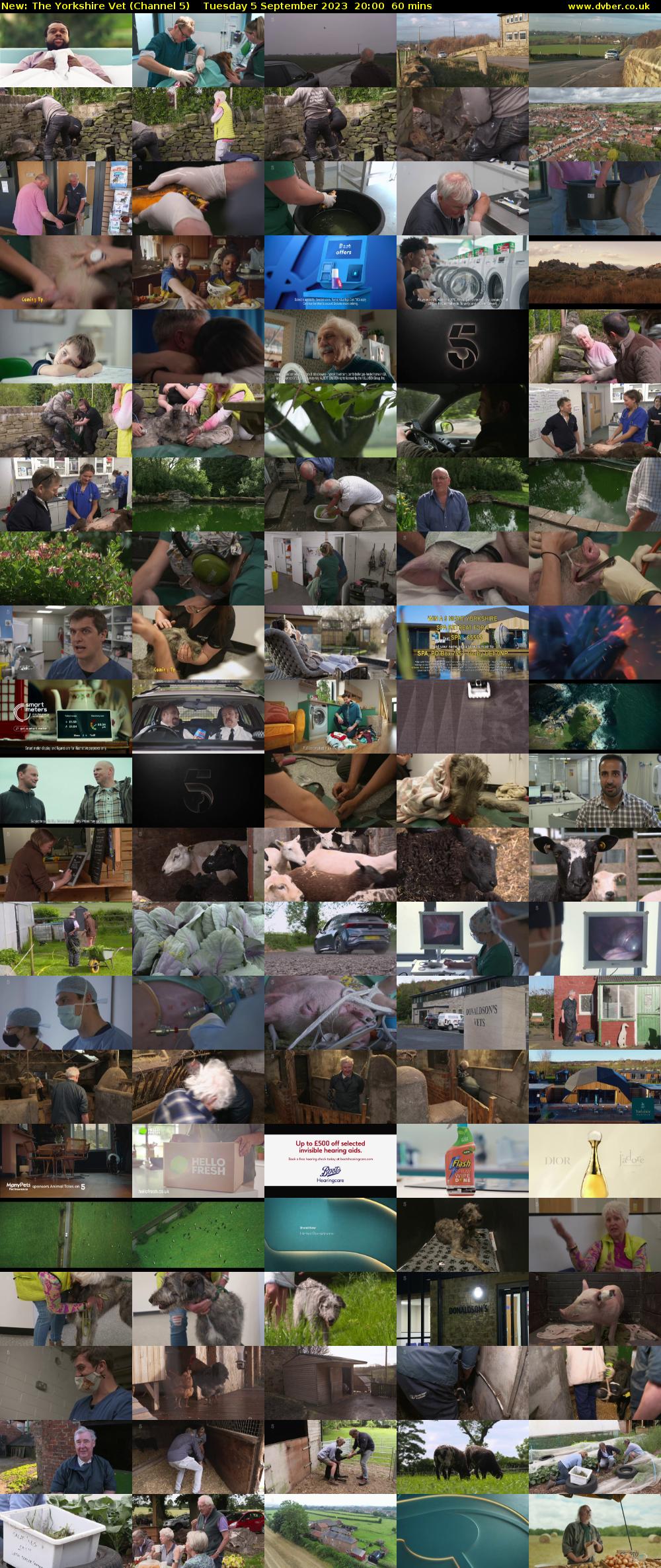 The Yorkshire Vet (Channel 5) Tuesday 5 September 2023 20:00 - 21:00