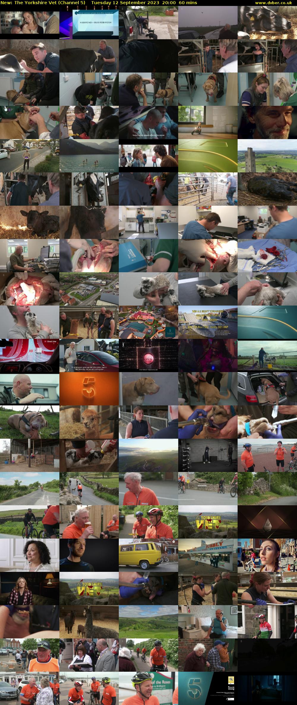 The Yorkshire Vet (Channel 5) Tuesday 12 September 2023 20:00 - 21:00