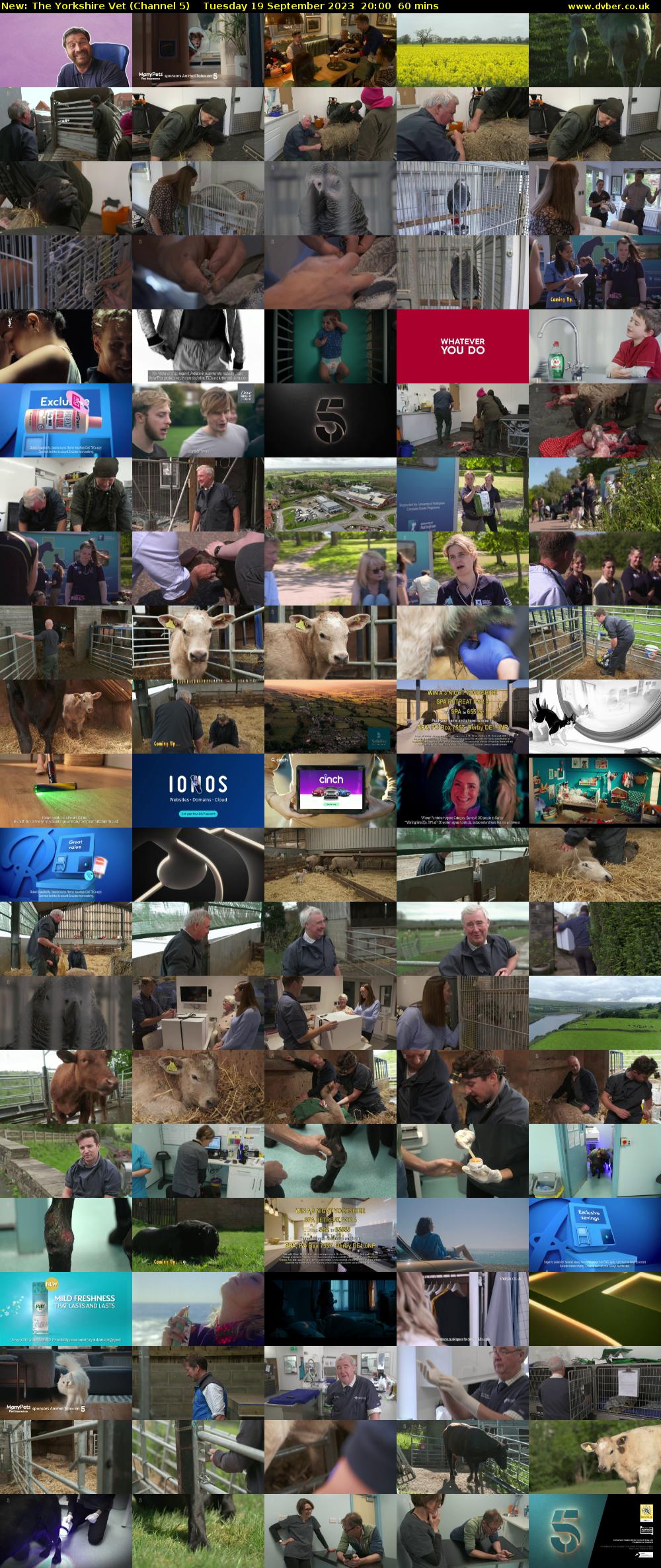 The Yorkshire Vet (Channel 5) Tuesday 19 September 2023 20:00 - 21:00