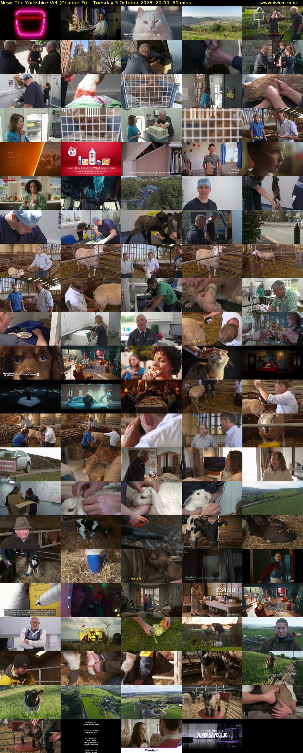 The Yorkshire Vet (Channel 5) Tuesday 3 October 2023 20:00 - 21:00