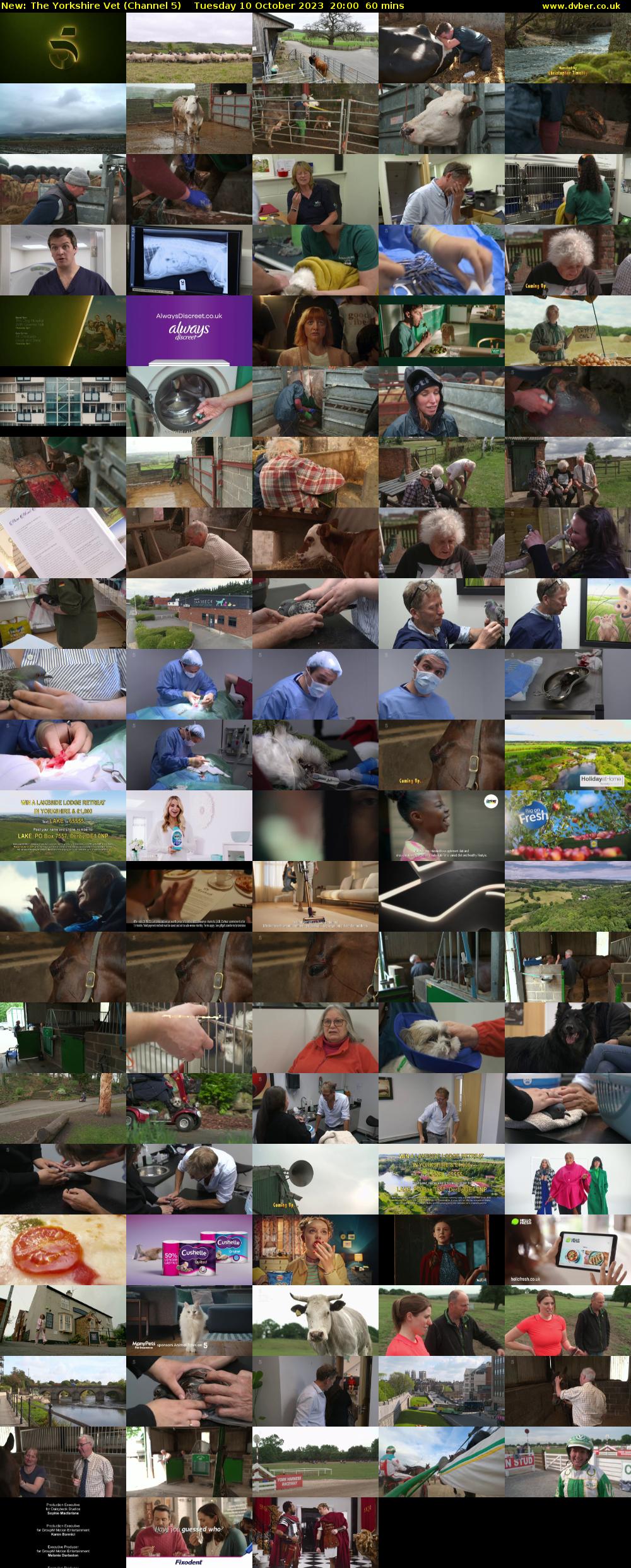 The Yorkshire Vet (Channel 5) Tuesday 10 October 2023 20:00 - 21:00
