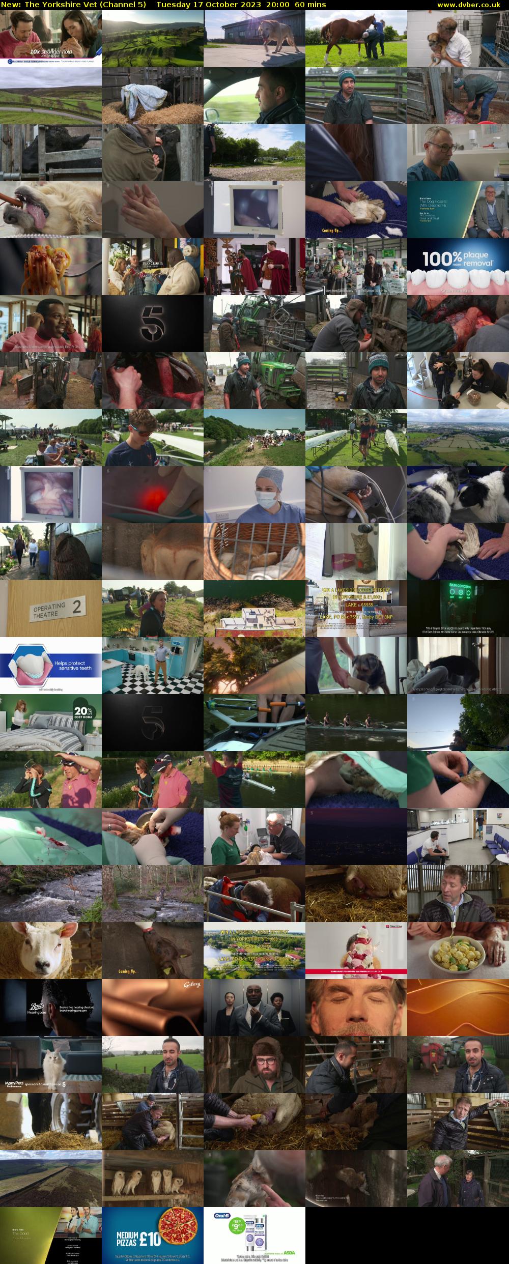 The Yorkshire Vet (Channel 5) Tuesday 17 October 2023 20:00 - 21:00