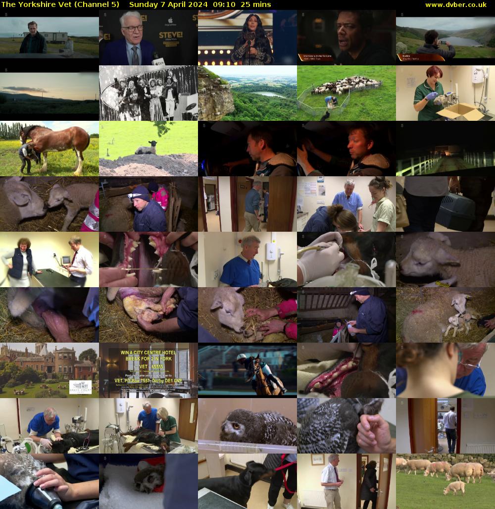 The Yorkshire Vet (Channel 5) Sunday 7 April 2024 09:10 - 09:35