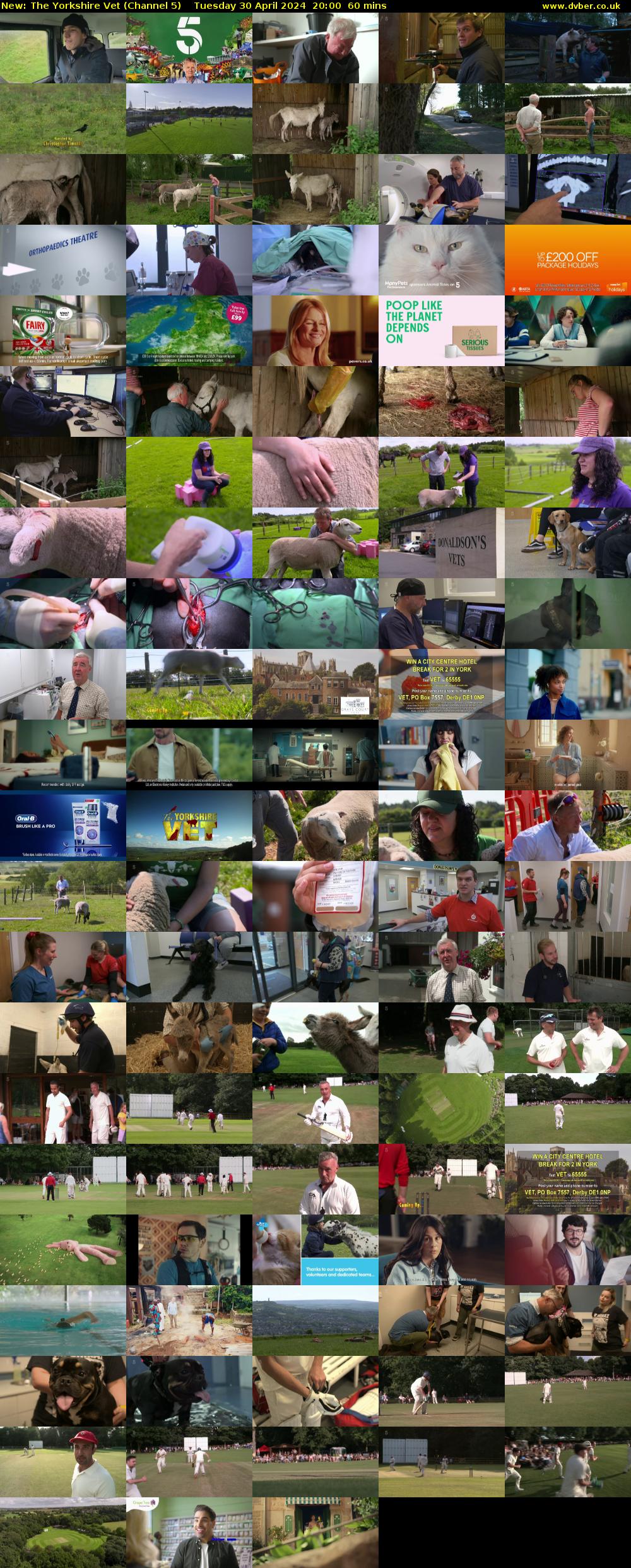 The Yorkshire Vet (Channel 5) Tuesday 30 April 2024 20:00 - 21:00