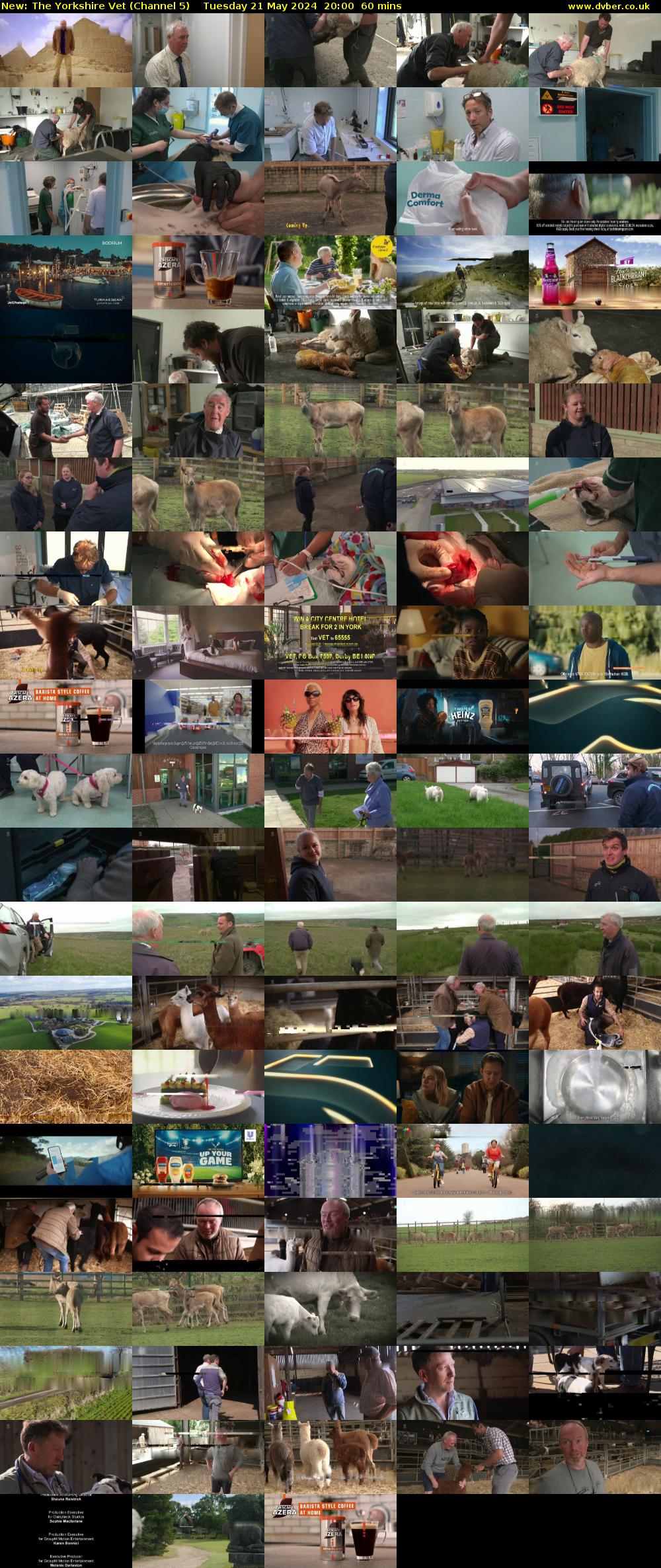 The Yorkshire Vet (Channel 5) Tuesday 21 May 2024 20:00 - 21:00