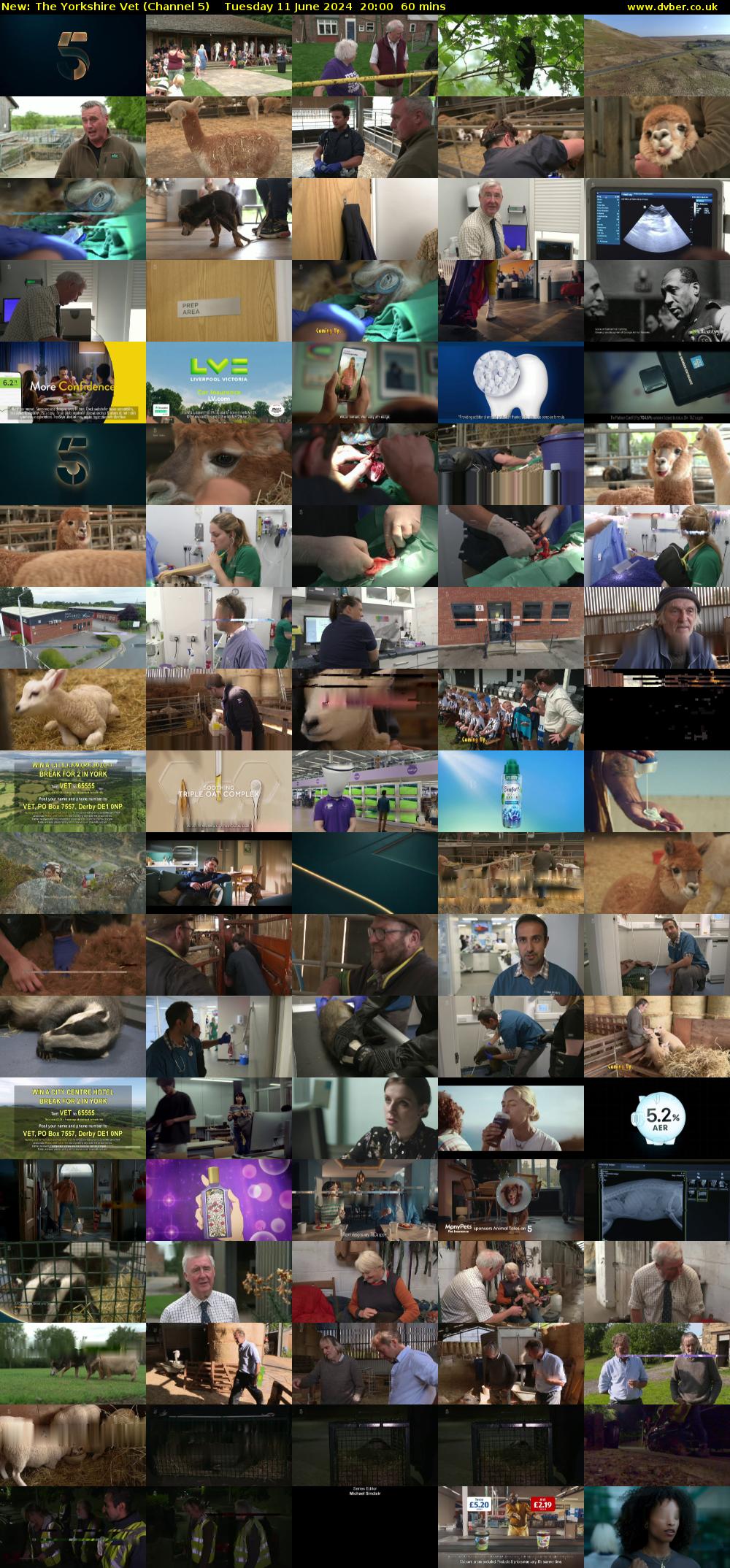 The Yorkshire Vet (Channel 5) Tuesday 11 June 2024 20:00 - 21:00