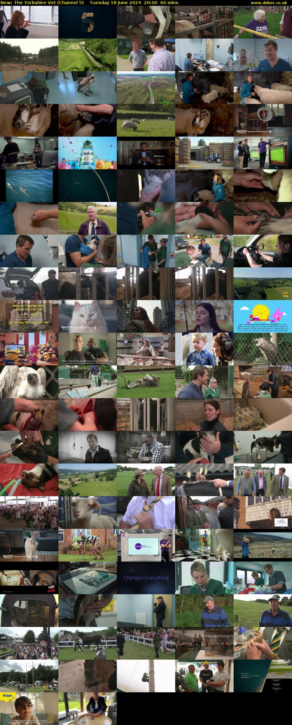 The Yorkshire Vet (Channel 5) Tuesday 18 June 2024 20:00 - 21:00