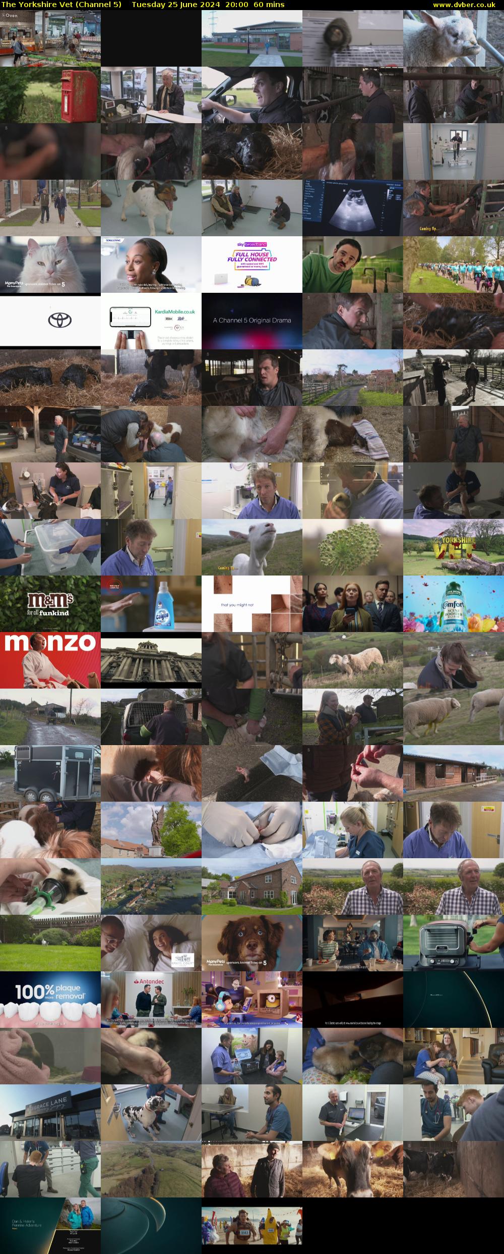 The Yorkshire Vet (Channel 5) Tuesday 25 June 2024 20:00 - 21:00